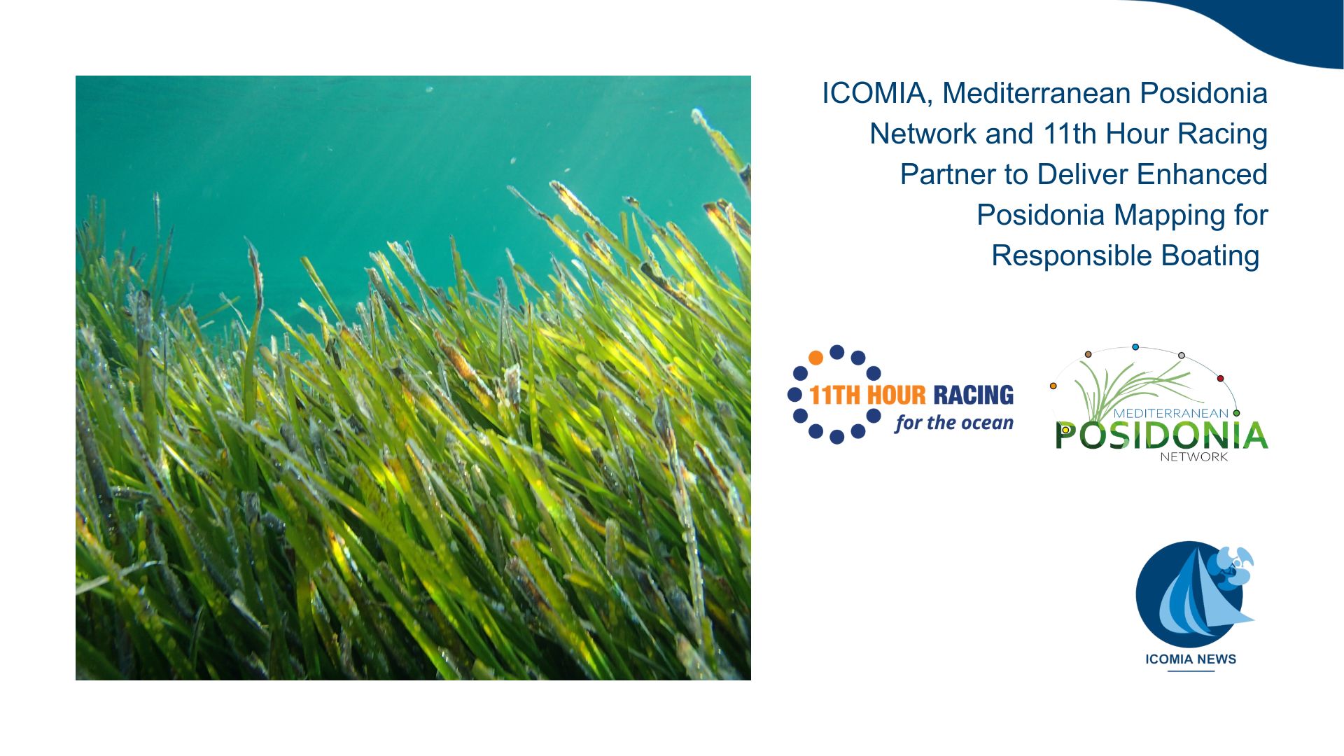 ICOMIA, Mediterranean Posidonia Network and 11th Hour Racing Partner to Deliver Enhanced Posidonia Mapping for Responsible Boating 